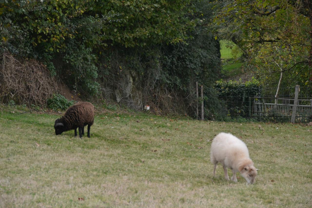 Maison De Vacances Chateaumur ภายนอก รูปภาพ